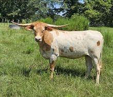 LC Winifred
