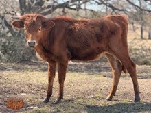  4C TIED IN AWESOMENESS