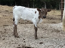 4W Mission Completed