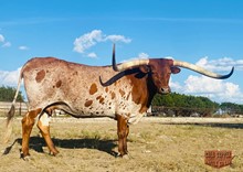 JH RURAL KODA