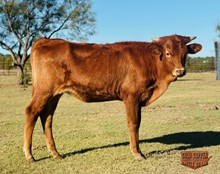  4C TIED IN AWESOMENESS